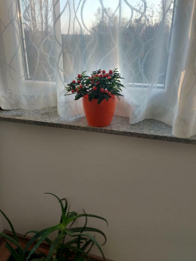 זאגרב Meridian Apartment , 300M To Bus Terminal, Fast Wifi & Airport Transf מראה חיצוני תמונה
